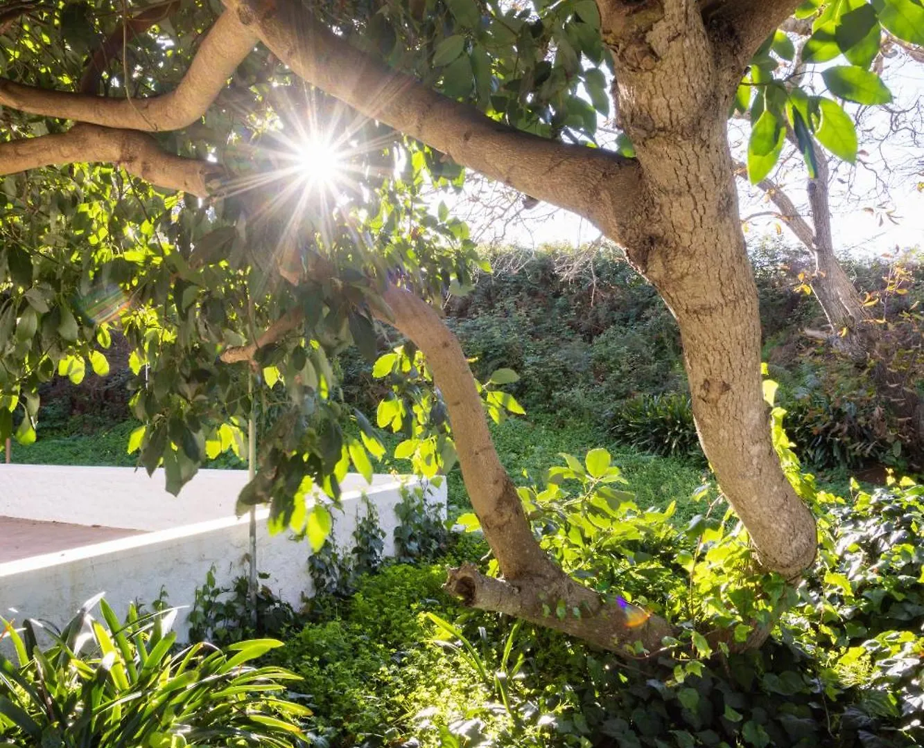 Okstay Casa De Campo Misueno La Esperanza  Hébergement de vacances La Esperanza (Tenerife)